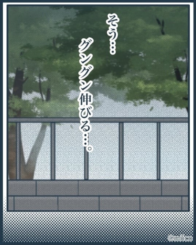となりの庭に泣かされた／みぃ子