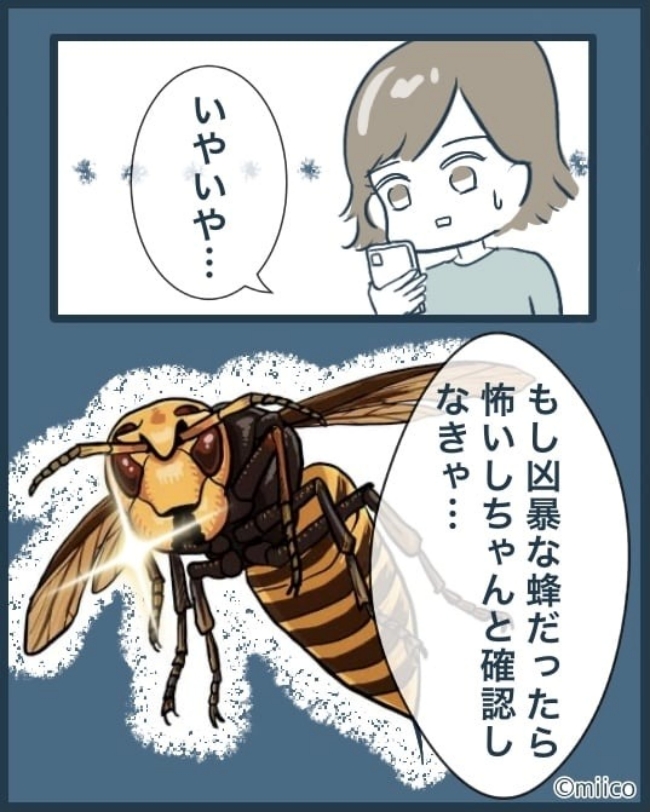 となりの庭に泣かされた／みぃ子