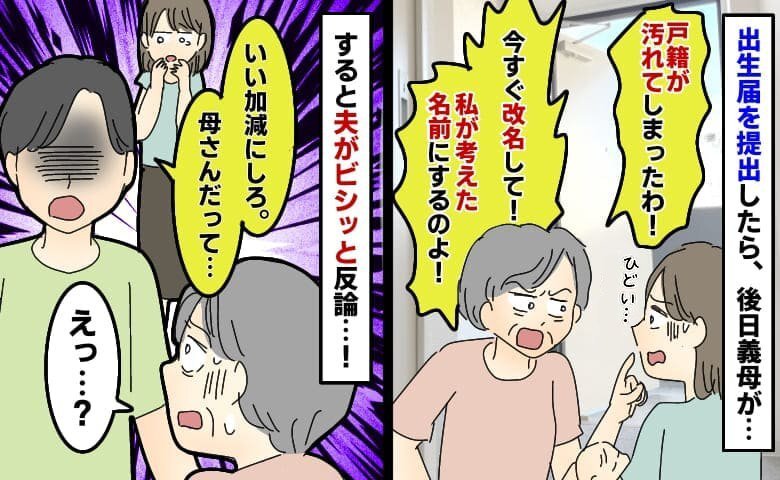 出生届を出すと後日義母がわが家へ「戸籍が汚れた！今すぐ私が考えた名前に変えて！」しつこい義母に夫が…