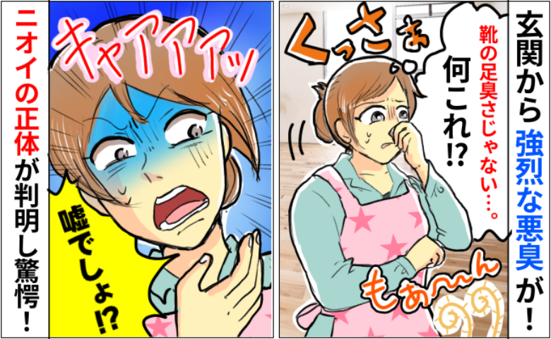 「玄関クサッ！でも足臭さとは違う…」じゃあ一体何が原因？靴箱を開けて判明したニオイの正体は！？