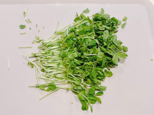 豆苗ともやしのチヂミ