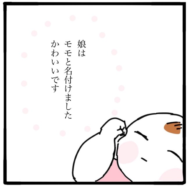 子どもの命か私の命か／つきママ