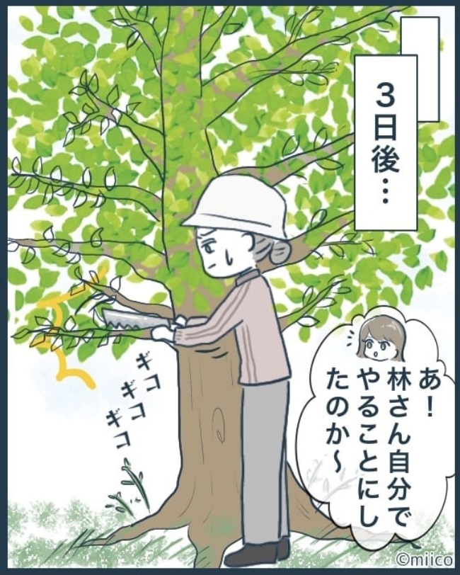 となりの庭に泣かされた／みぃ子