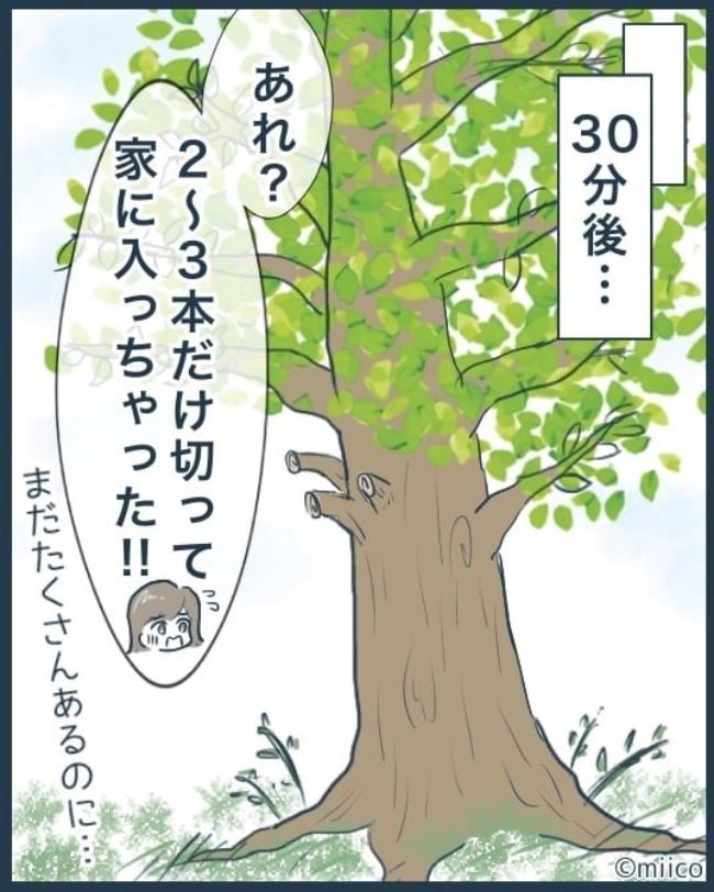 となりの庭に泣かされた／みぃ子