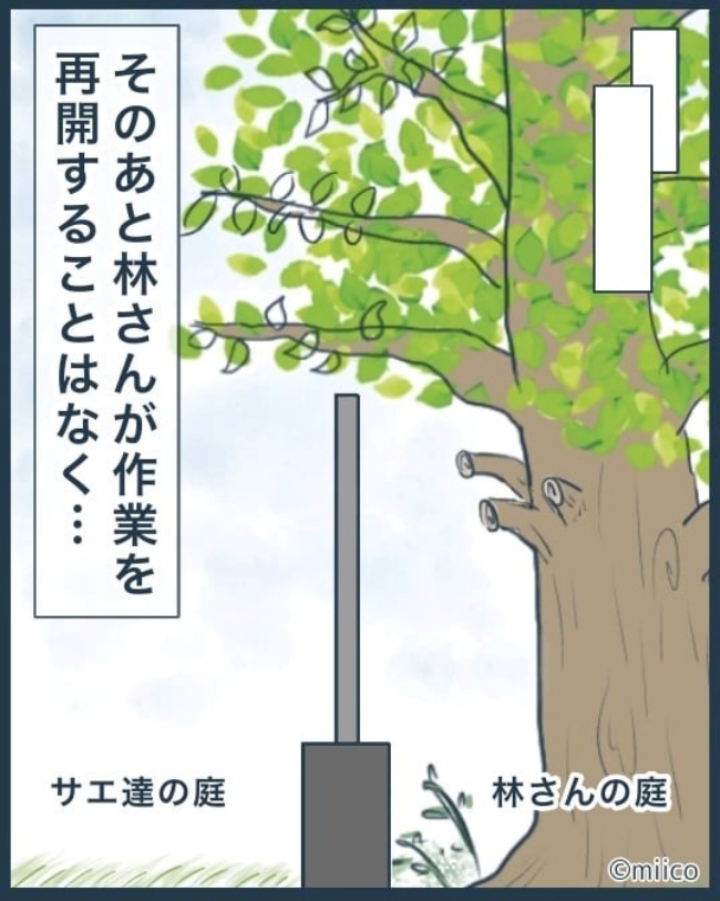 となりの庭に泣かされた／みぃ子
