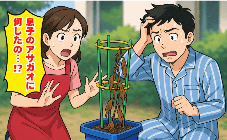【夫が息子のアサガオを枯れさせた！】体調不良の息子に代わって水やりしただけなのに…→衝撃の理由が発覚！？