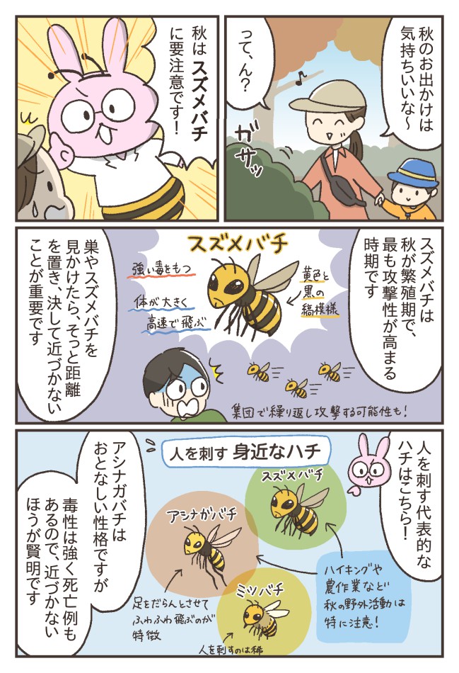 スズメバチ対処法