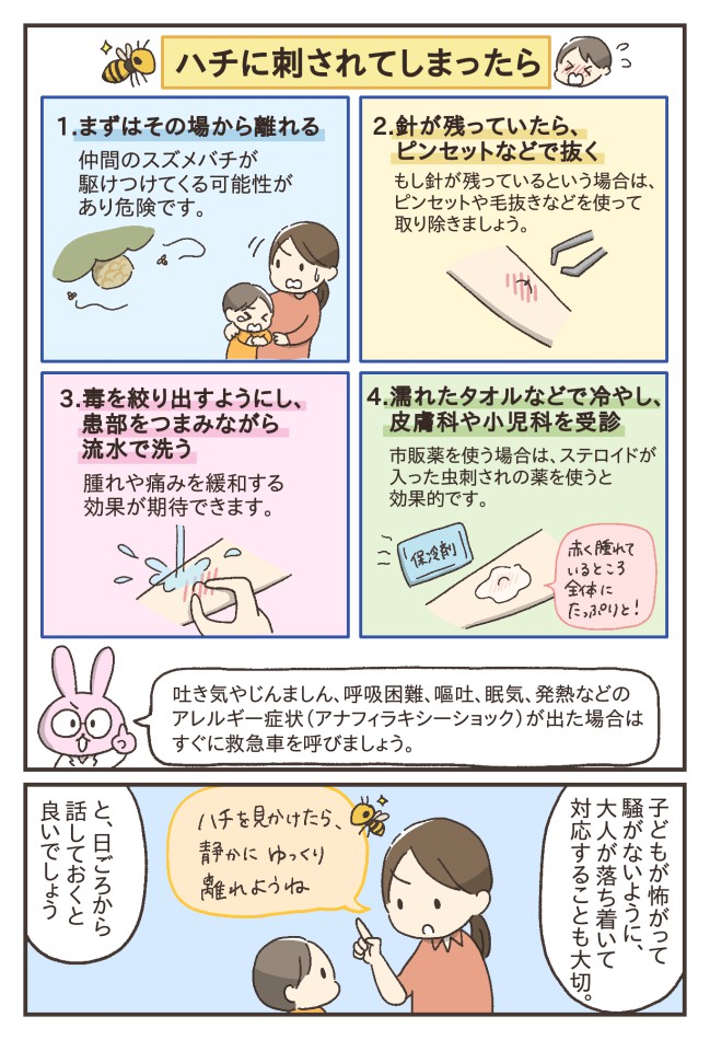 スズメバチ対処法