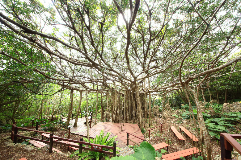 ASMUI Spiritual Hikes