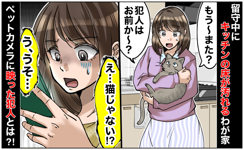 「猫のしわざ？」留守中にキッチンの床が汚れるわが家→猫じゃない！？ペットカメラを設置すると犯人が