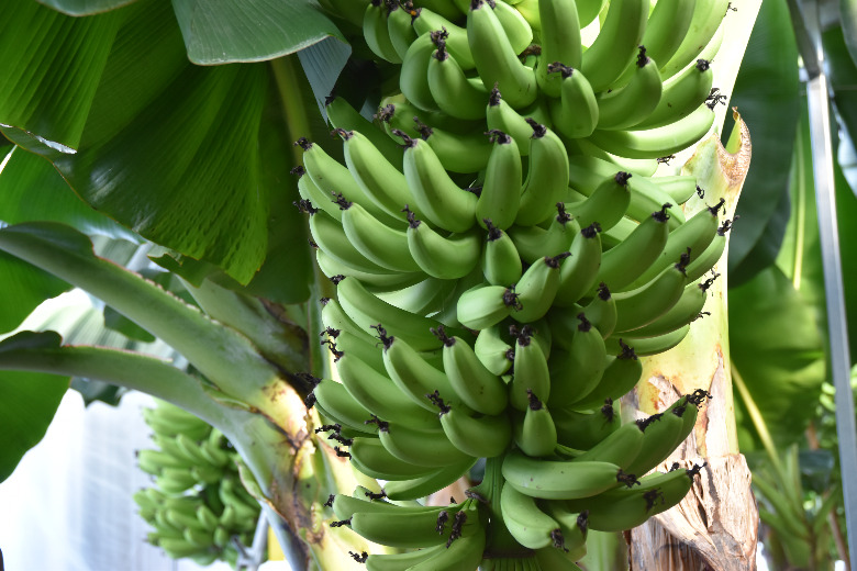 道の駅 まえばし赤城