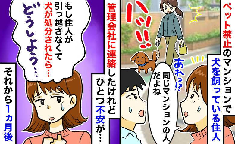 「犬が殺されたら私のせい？」ペット禁止マンションで犬を飼う住人⇒管理会社に通報後、罪悪感…1カ月後