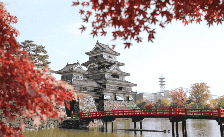 記事サムネイル画像