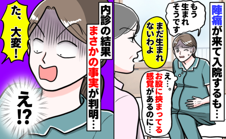 「出そう！」赤ちゃんが出口に挟まっている気配でも「まだよ」のひと言。しかし内診の結果に固まり！？