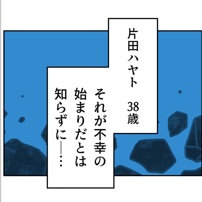 抱きたいのは妻じゃない！不倫は夫婦の文化だろ／ネギマヨ