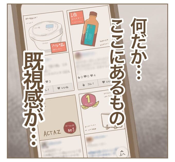 インフルエンサー気取りママ友を成敗した件／ねぼすけ