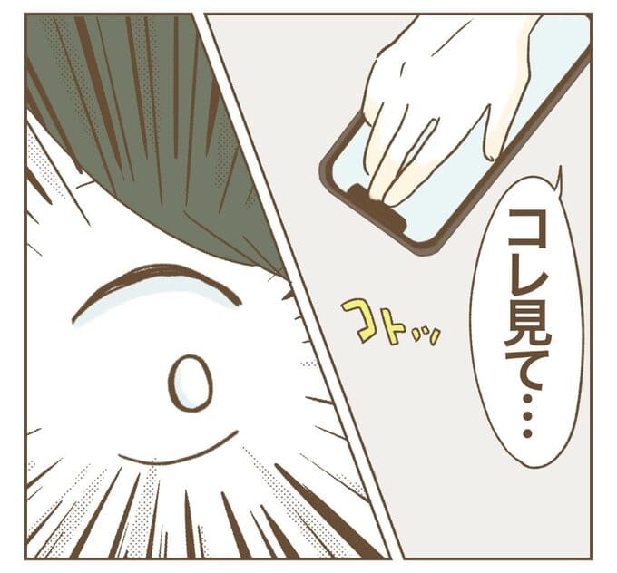 インフルエンサー気取りママ友を成敗した件/ねぼすけ