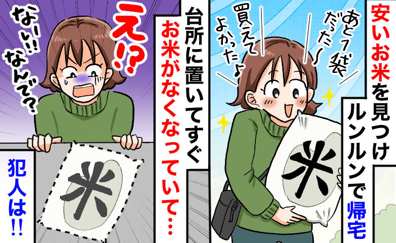 「残り1袋…買えた！」特売のお米を購入して帰宅⇒目を離した隙に袋ごと消えた…犯人を問い詰めると？