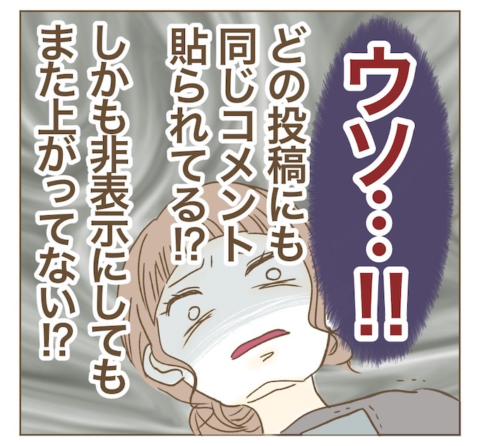 インフルエンサー気取りママ友を成敗した件／ねぼすけ