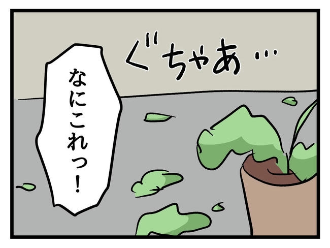 いい加減にしなさい！／神谷もち