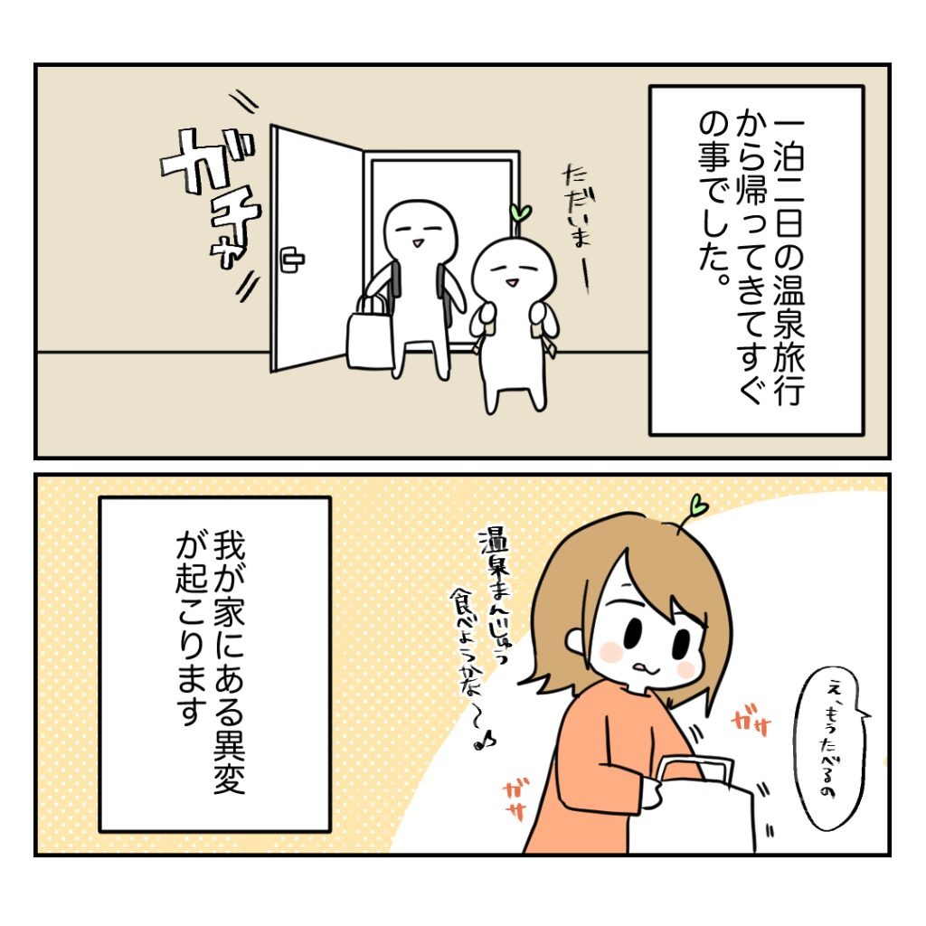 不妊治療で妊娠した私の妊娠記録／kiki