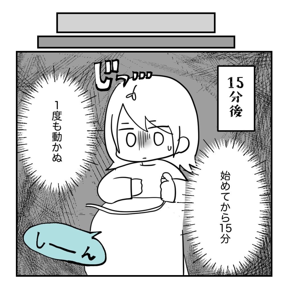 不妊治療で妊娠した私の妊娠記録/kiki