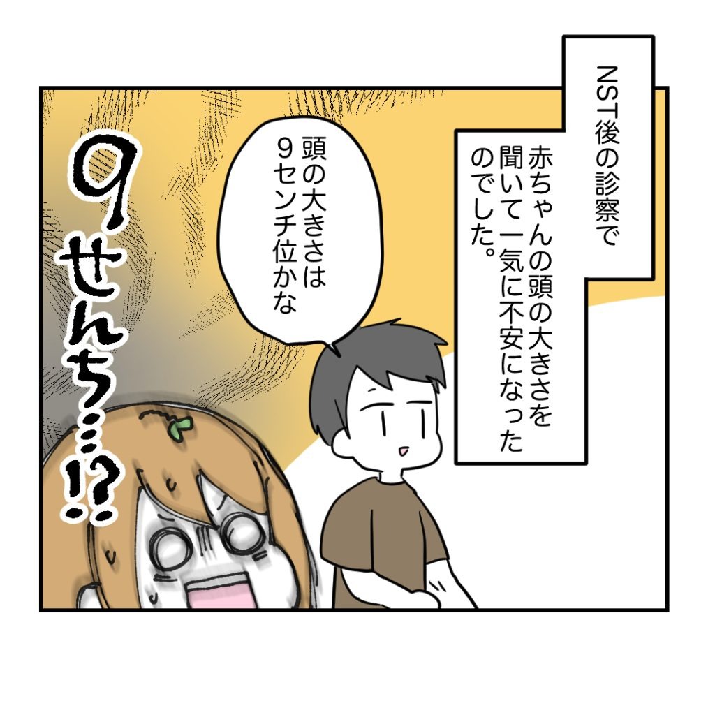 不妊治療で妊娠した私の妊娠記録/kiki