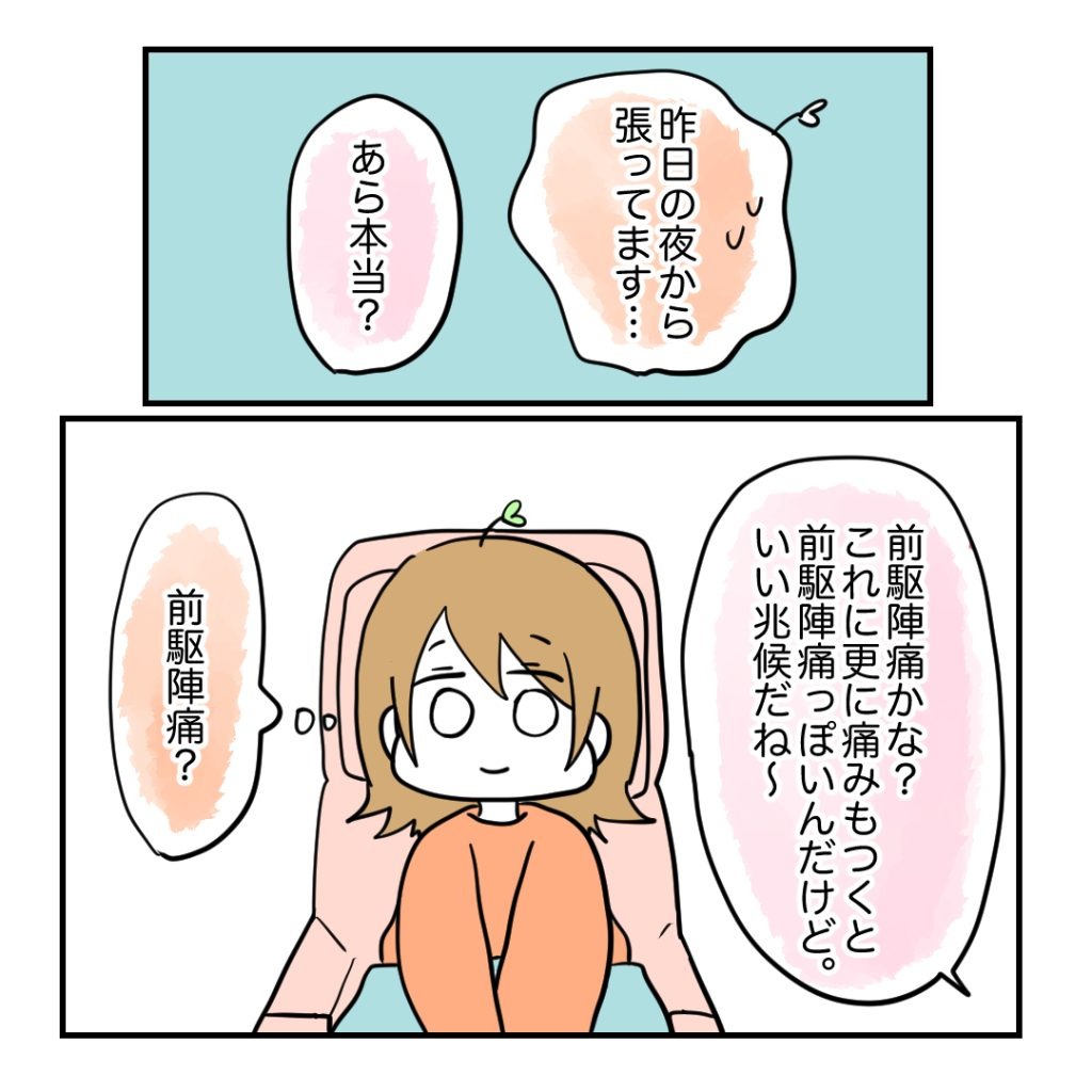 不妊治療で妊娠した私の妊娠記録/kiki