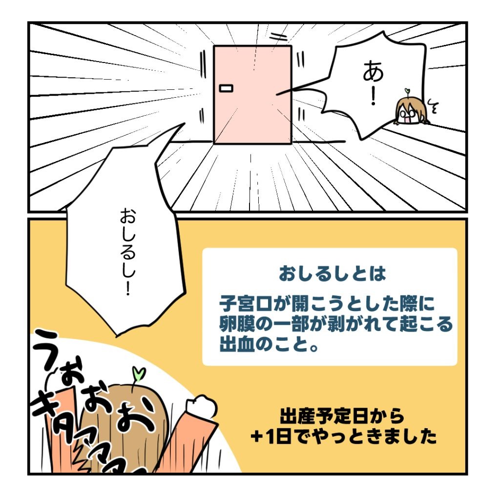 不妊治療で妊娠した私の妊娠記録/kiki