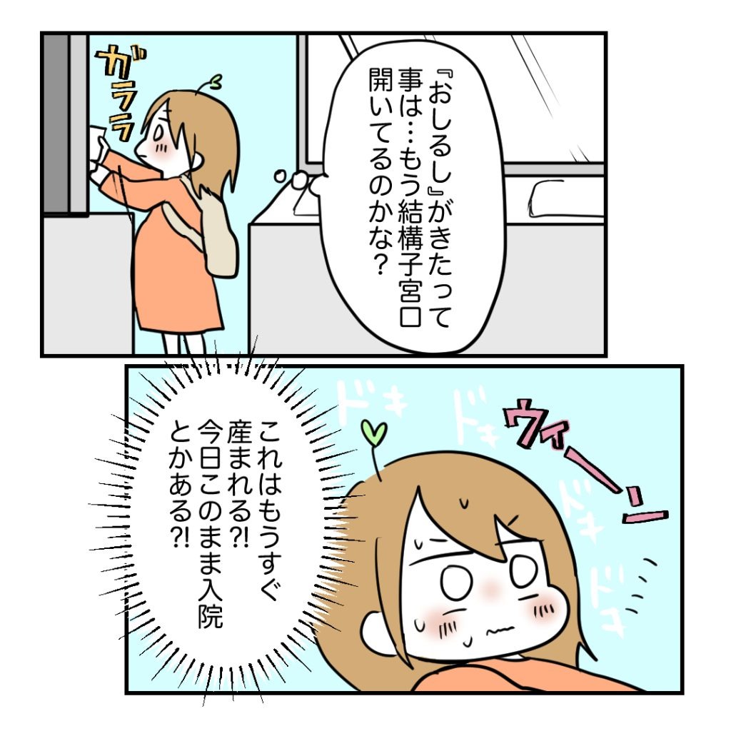 不妊治療で妊娠した私の妊娠記録/kiki