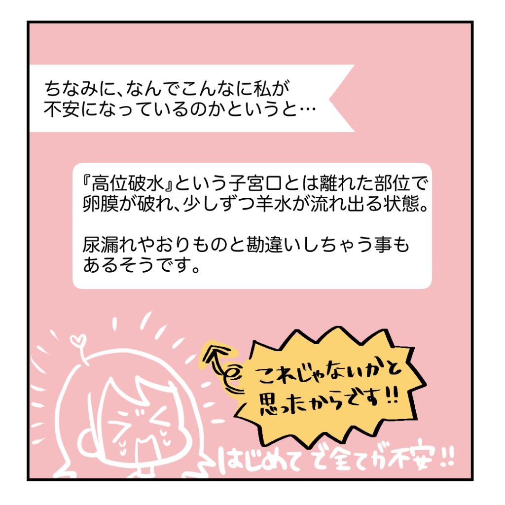 不妊治療で妊娠した私の妊娠記録/kiki