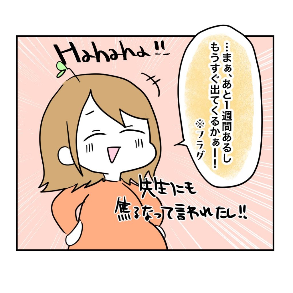 不妊治療で妊娠した私の妊娠記録/kiki