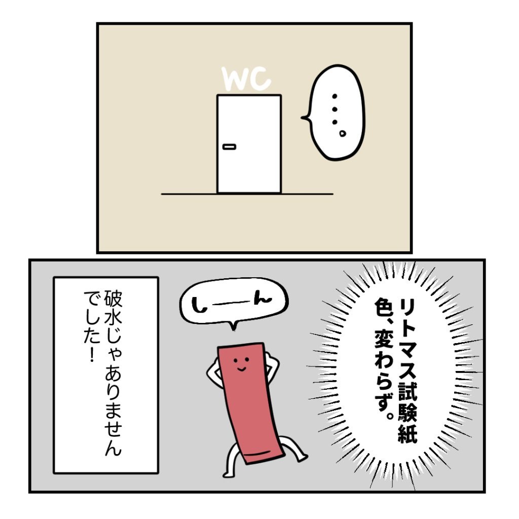 不妊治療で妊娠した私の妊娠記録/kiki