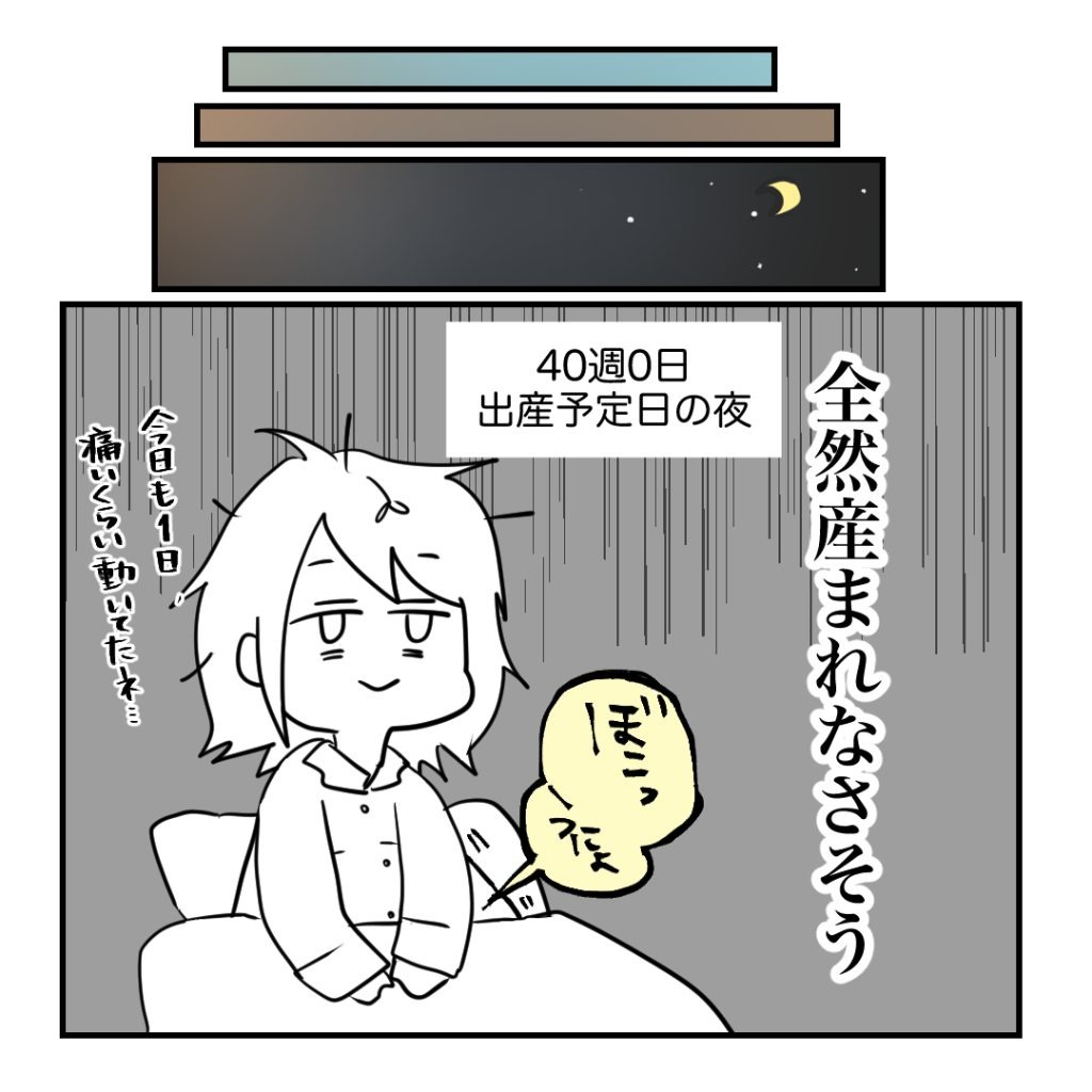 不妊治療で妊娠した私の妊娠記録/kiki