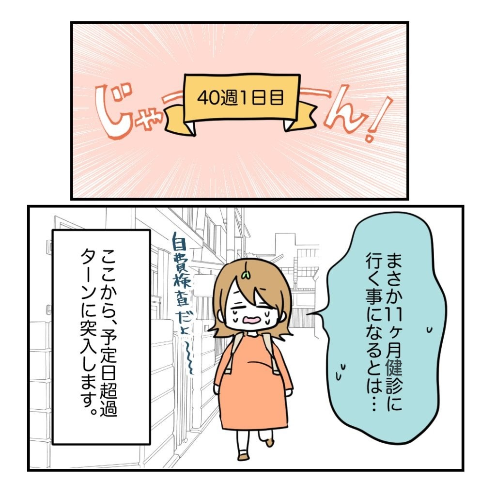 不妊治療で妊娠した私の妊娠記録/kiki