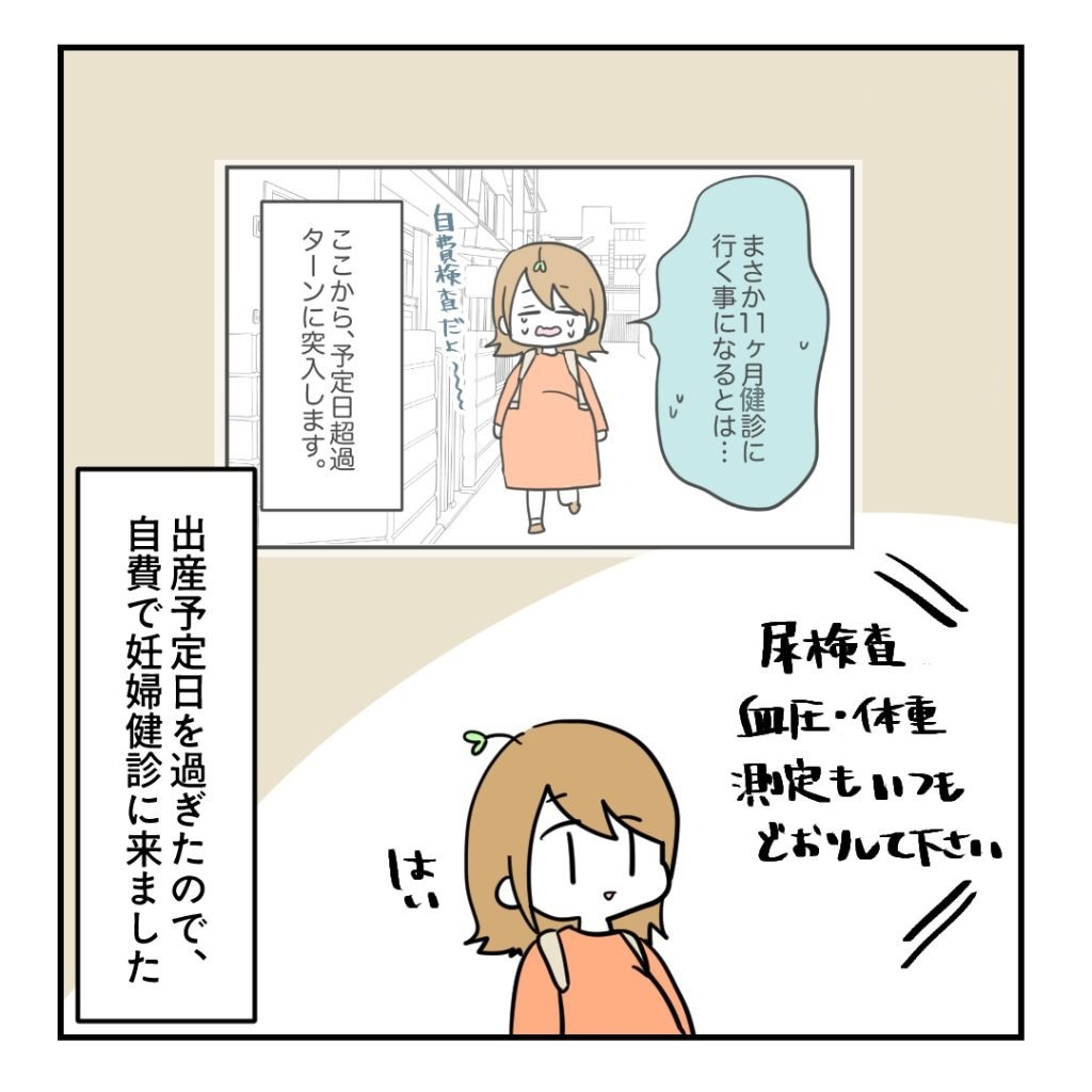 不妊治療で妊娠した私の妊娠記録/kiki