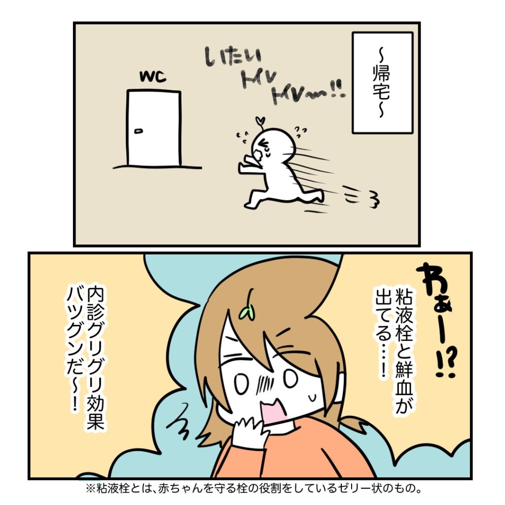 不妊治療で妊娠した私の妊娠記録/kiki