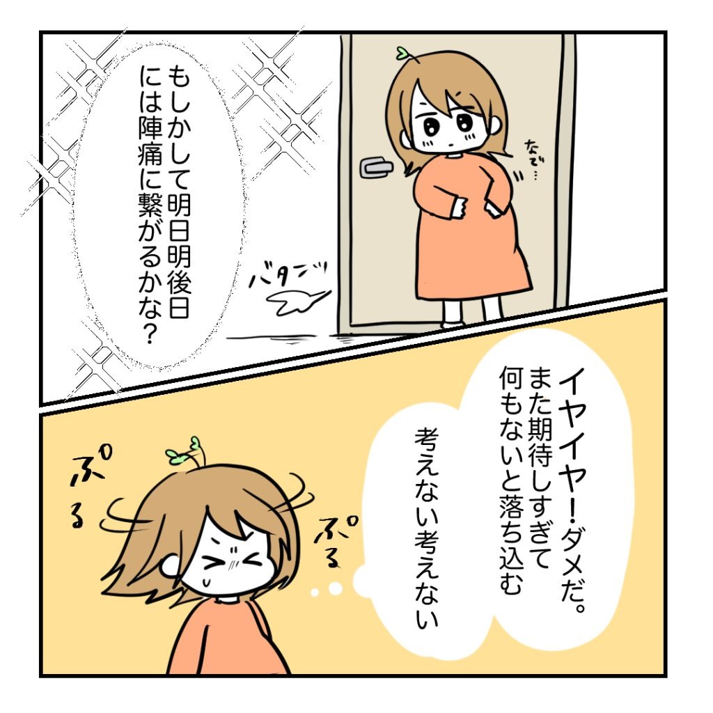 不妊治療で妊娠した私の妊娠記録/kiki