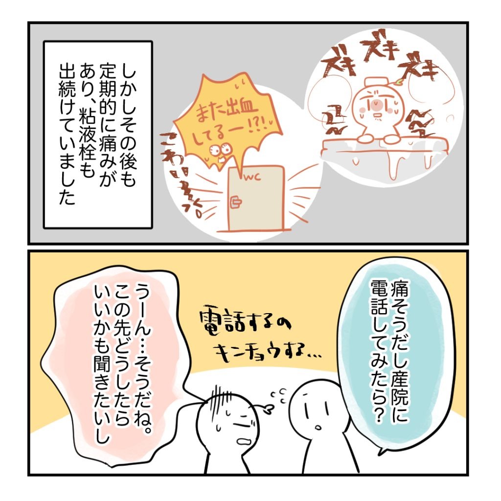 不妊治療で妊娠した私の妊娠記録/kiki