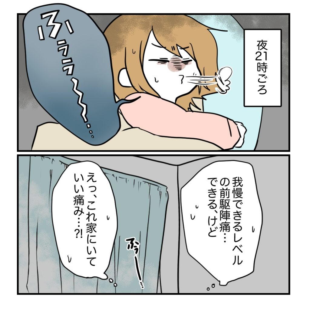 不妊治療で妊娠した私の妊娠記録/kiki