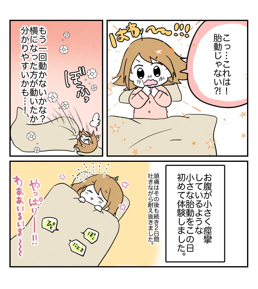 不妊治療で妊娠した私の妊娠記録/kiki