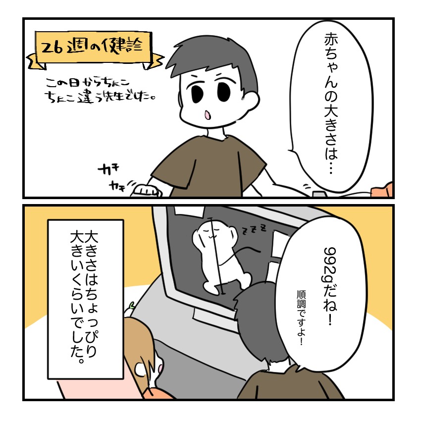 不妊治療で妊娠した私の妊娠記録／kiki