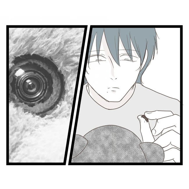 歪んだ愛〜レス夫婦の末路〜／くろねこ