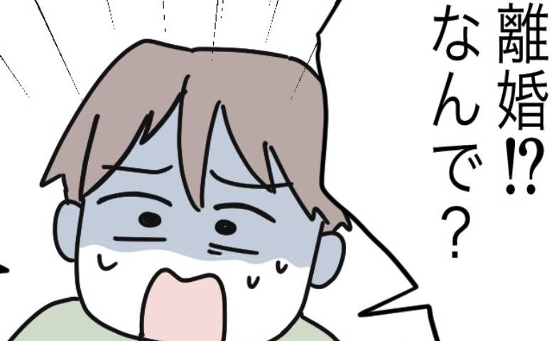 妻「私の出産は完璧」普通分娩でも痛くなかったと誇る妻→1年後…夫「離婚？」妻のまさかの発言に絶句 #完璧を求める母親 28