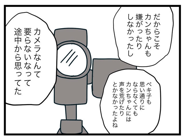 完璧な母親/ツムママ