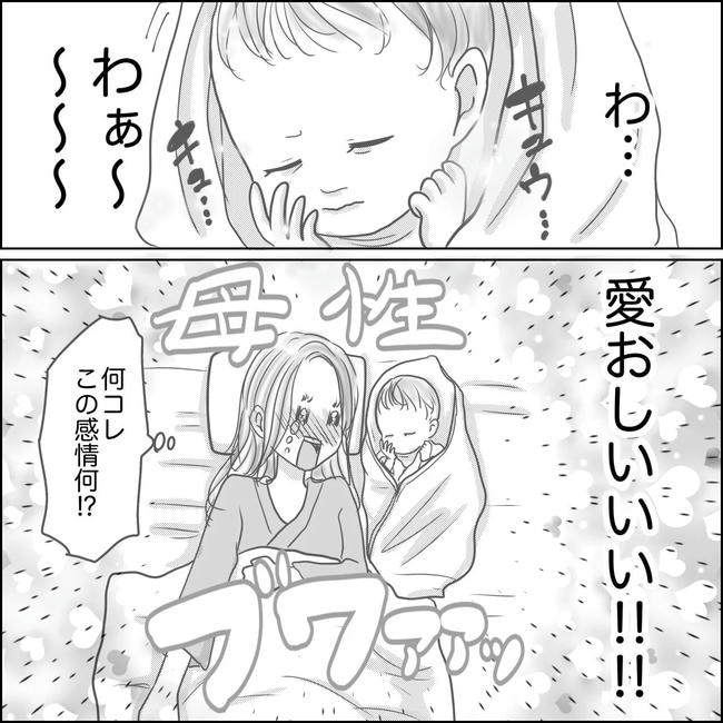 思ってたんと違った出産レポ／Reina