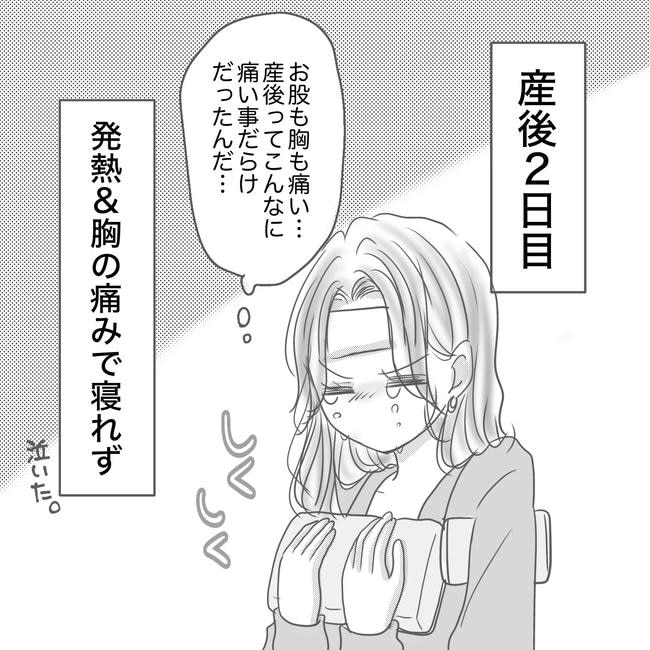 思ってたんと違った出産レポ／Reina