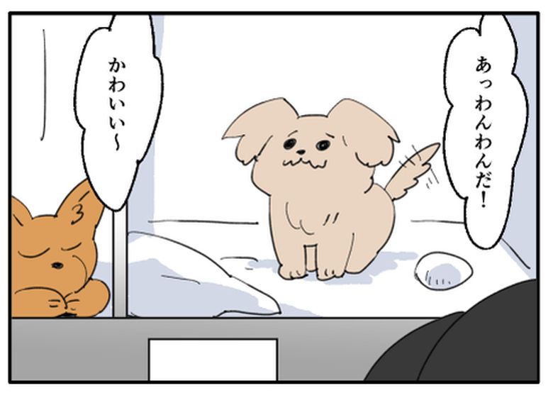 こどおじ義兄は家族ですか?/音坂ミミコ