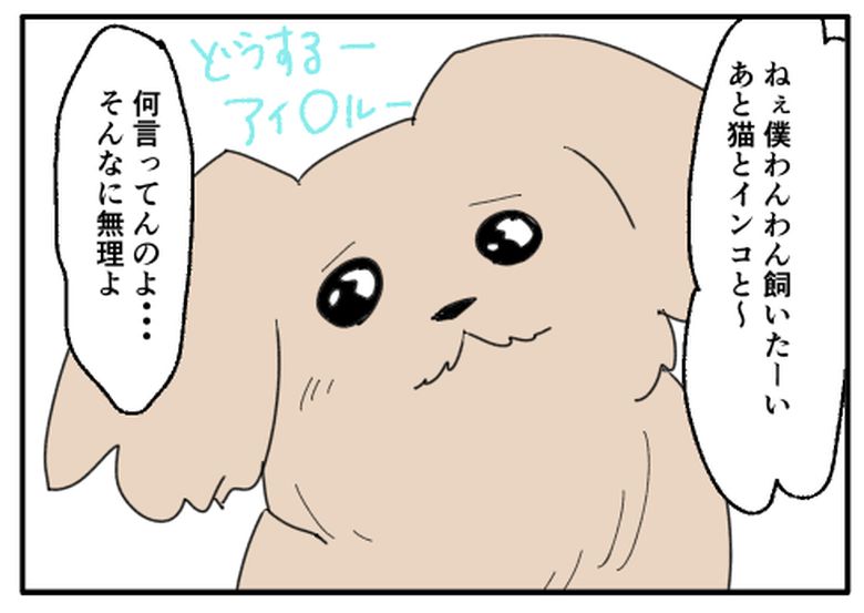 こどおじ義兄は家族ですか?/音坂ミミコ