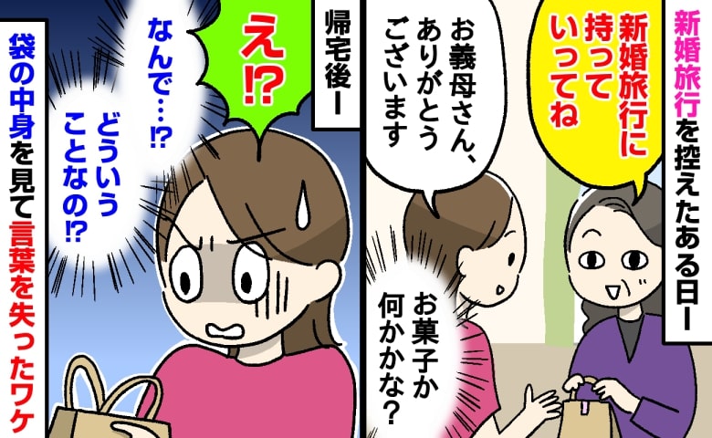 義母「新婚旅行に持って行ってね」手渡された小さな紙袋→お菓子かと思いきや…帰宅後、中身を見て言葉を失ったワケ